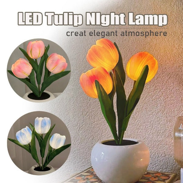 Tulip on sale led lights